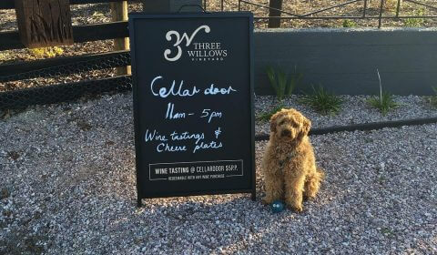3 Willows Vineyard - Red Hills, Tas.