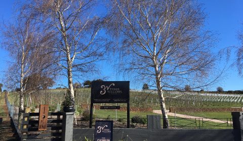 3 Willows Vineyard - Red Hills, Tas.