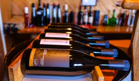 3 Willows Vineyard