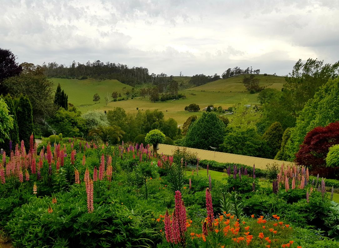 Villarett Gardens - Moltema, Tasmania