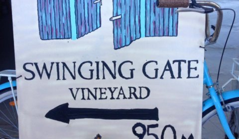 Swinging Gate Vineyard - Sidmouth, Tas.