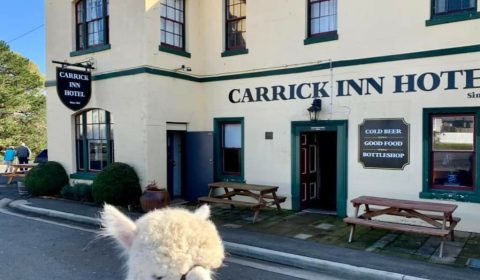 Carrick Inn Hotel