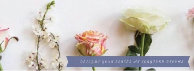 Longford Blooms - 17 November 2017 - Longford, Tasmania