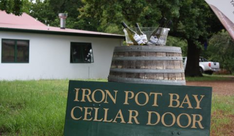Iron Pot Bay Vineyard