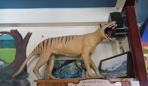 Mole Creek Hotel - Tasmania