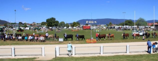 Scottsdale Show - Scottsdale, Tasmania