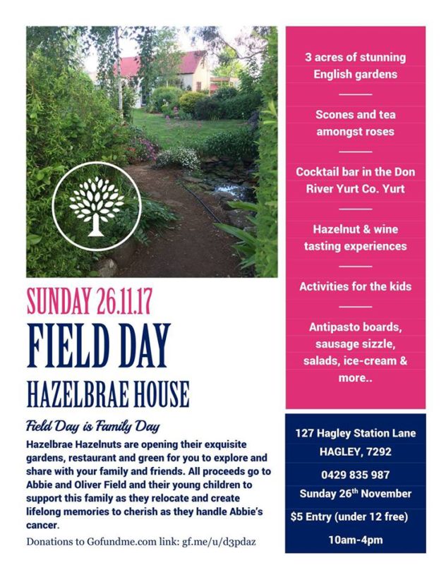 Hazelbrae House - Field Day