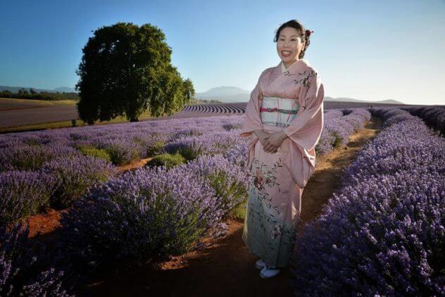 Japanese Harp amongst the Lavender