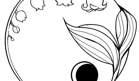 Moon Lily Kitchen & Cakes - Beaconsfield, Tasmania