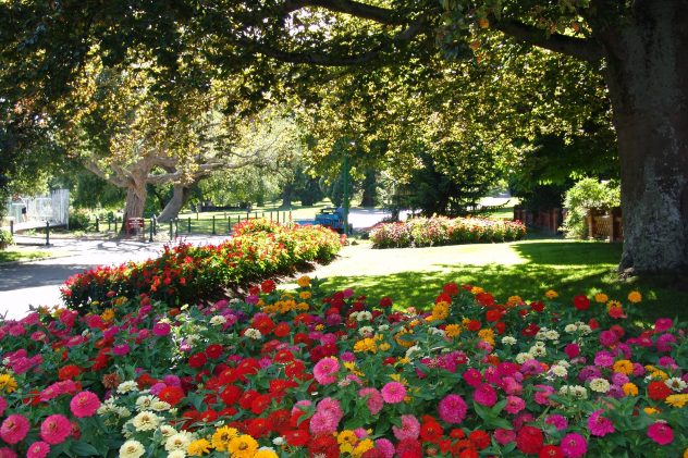 Music in the Launceston City Park