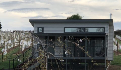 3 Willows Vineyard
