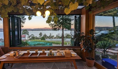 Bird n Herd at Marion Vineyard