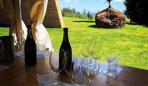 Clover Hill Wines- Lebrina, Tasmania