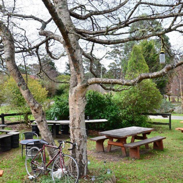 Weldborough Hotel - Tasmania