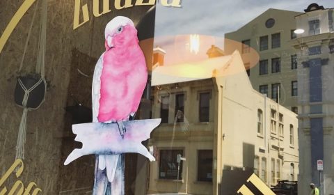 Zuuzu Coffee & Takeaway - Launceston, Tasmania