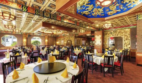 Dynasty Chinese Restaurant - Launceston, Tasmania