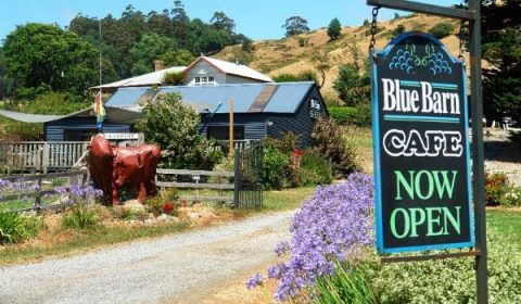 Blue Berry Barn Cafe - Frankford, Tasmania