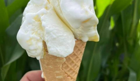 Lemon Curd Icecream - Van Diemens Land Creamery