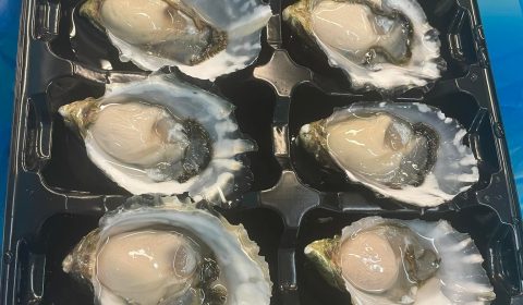 Oysters at George Town Seafoods - George Town, Tasmania