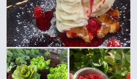 Bean Barrow Café - Lilydale, Tasmania