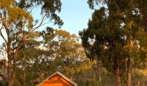 Cellar Door at Bundaleera