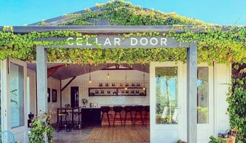 Sinapius Vineyard Cellar Door