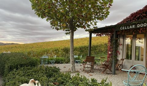 Sinapius Vineyard Cellar Door