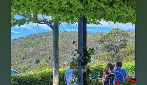 Sinapius Vineyard Cellar Door