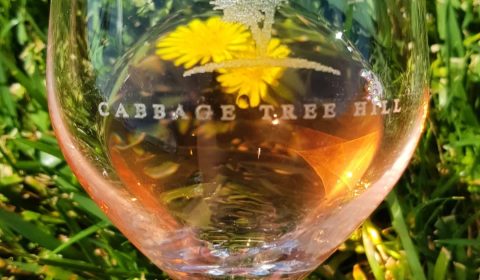 Cabbage Tree Hill Wines - Beaconsfield, Tasmania