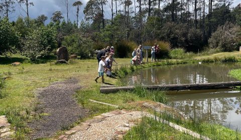 41 Degrees South Salmon Farm