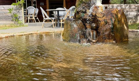 41 Degrees South Salmon Farm