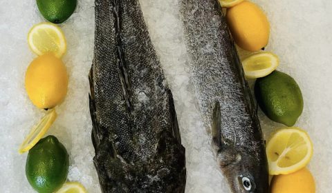 Hammond Seafoods Flathead