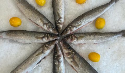 Hammond Seafoods King George Whiting