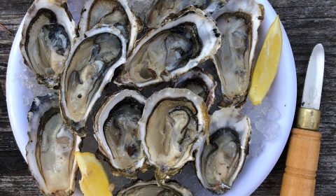 Hammond Seafoods Oysters