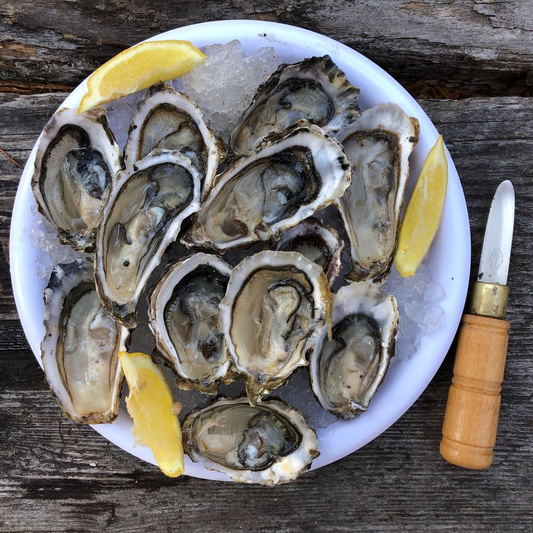 Hammond Seafoods Oysters