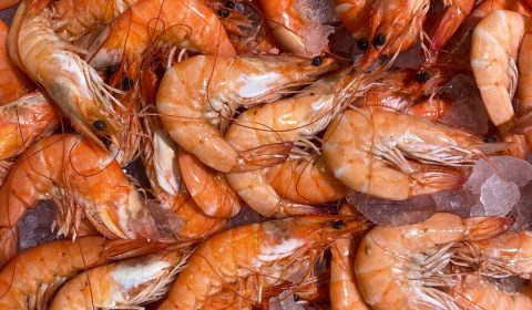 Hammond Seafoods Prawns