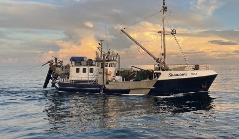 Hammond Seafoods Fishing Boat Shandara