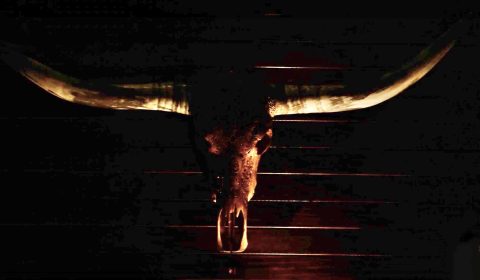 Midnight Rambler Bar - Launceston, Tasmania