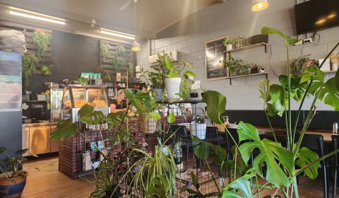 Interior at Toast Launceston