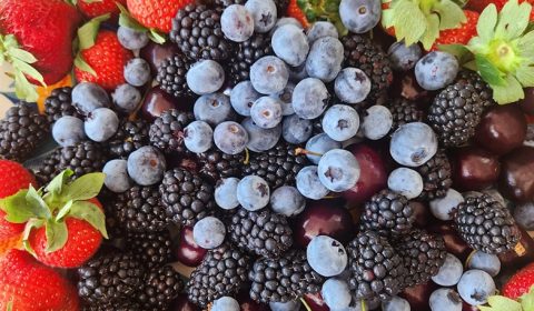 Hillwood Berry Farmgate & Café