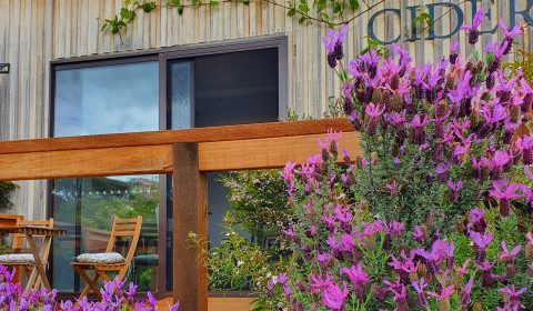 Winter Brook Vineyard - Loira, Tasmania
